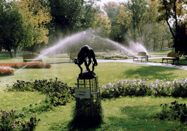 Создание автоматического полива участка любой сложности под ключ от компании «КАСИОР».