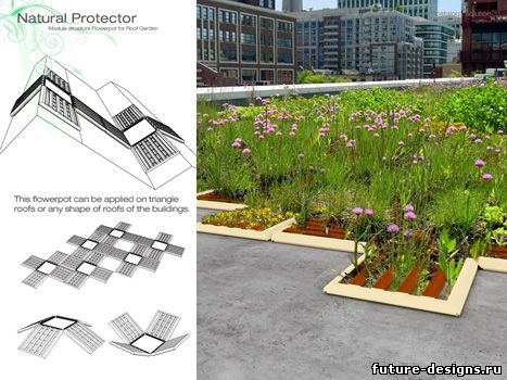 Озеленение крыши