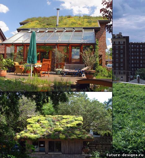 Озеленение крыши дома