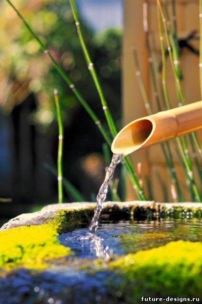 Вода в ландшафтном дизайне