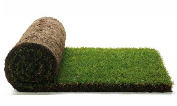 Свежие рулонные газоны в Москве от компании «GAZZONE».