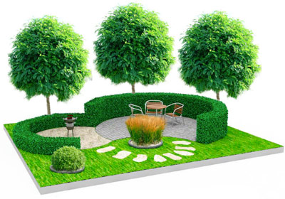 Купить саженцы гинкго «Биоба» в Москве через интернет-магазин питомника "Грин Стайл".