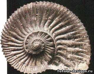 линии фибоначчи