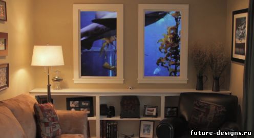 Видео окна Winscape