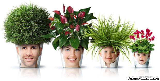 Необычные цветочные горшки