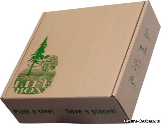 Картонная упаковка Life Box с саженцами деревьев