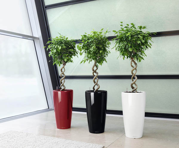 Дизайнерские горшки и кашпо оптом немецкой фирмы «LECHUZA» в «Проплантерс».