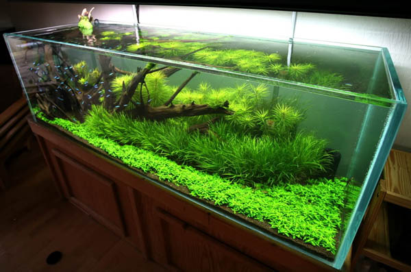 Тумбы под аквариум на заказ в городе Киев Aqua-mir.com.ua