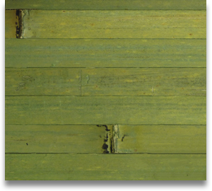 Бамбуковые натуральные обои