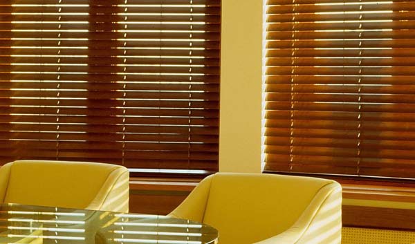 Большой выбор жалюзи и рулонных штор для окон ПВХ от производителя на сайте «LAMELIA».